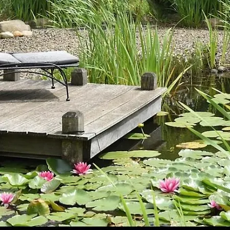 Ederstrand フランケンベルク