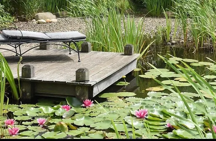 Ederstrand Франкенберг